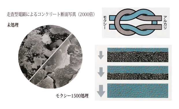 生まれ変わるコンクリートの生命　MOXIE-1500（浸透型コンクリート強化剤）